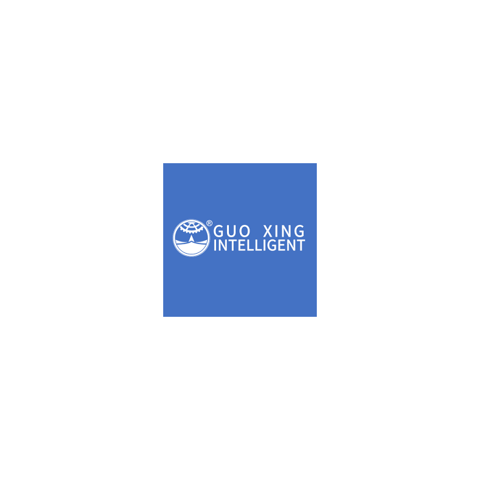 Guo Xing DC Motors (DM)