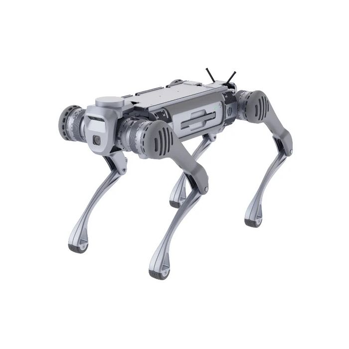Unitree B2 (B2-ROBOT)