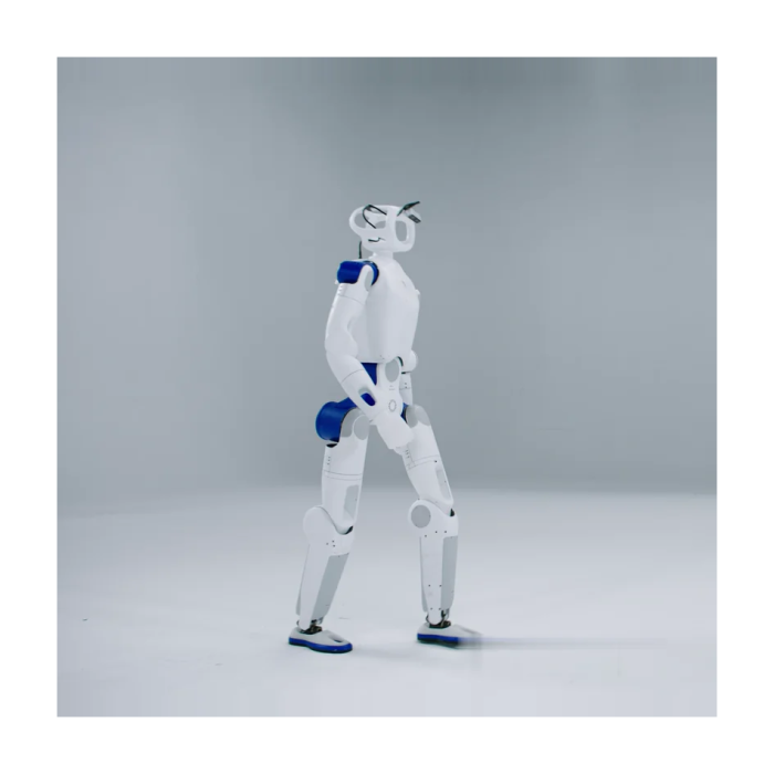 RoboParty ROBOTO 01 (RP1)